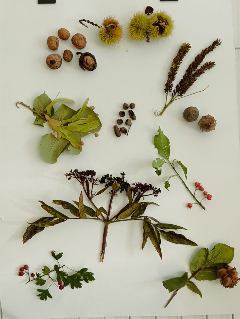 viber_slika_2025-10-23_16-24-41-336