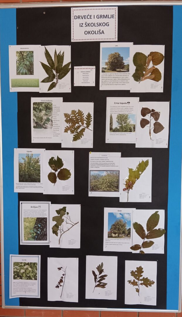 viber_slika_2025-10-23_16-26-27-844