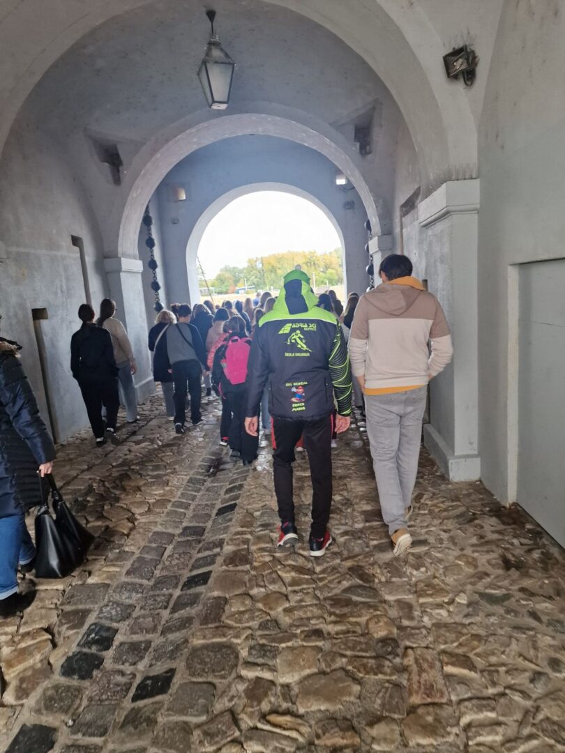 viber_slika_2025-10-24_17-18-51-441