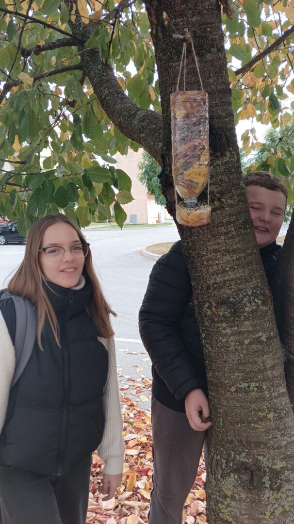 viber_slika_2025-11-10_08-48-54-884