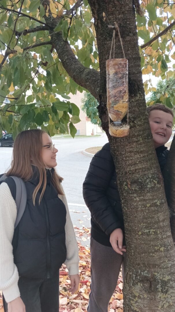 viber_slika_2025-11-10_08-48-55-619