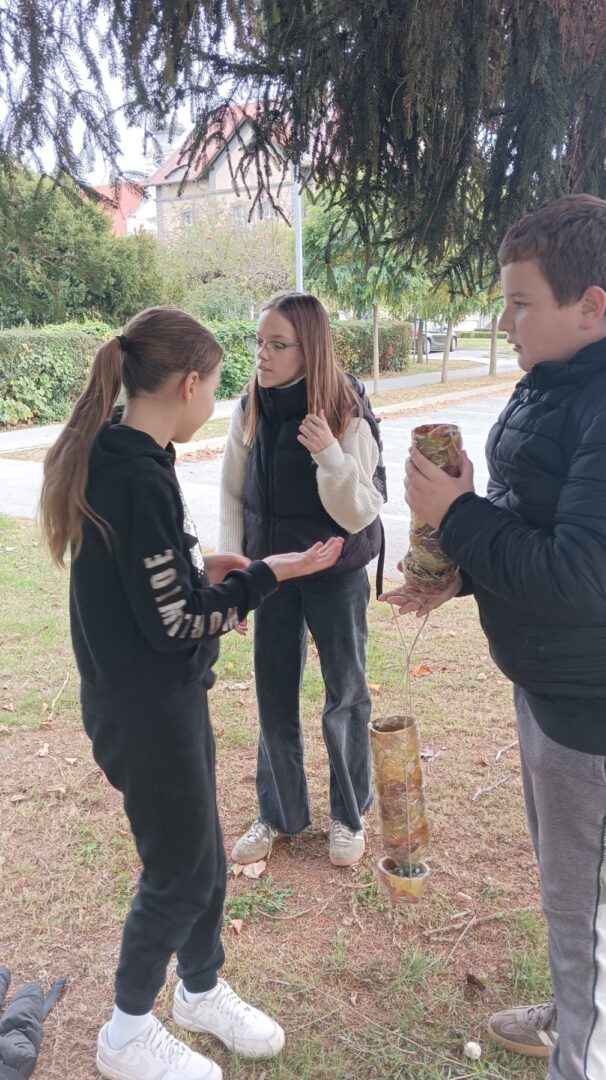 viber_slika_2025-11-10_08-48-55-669