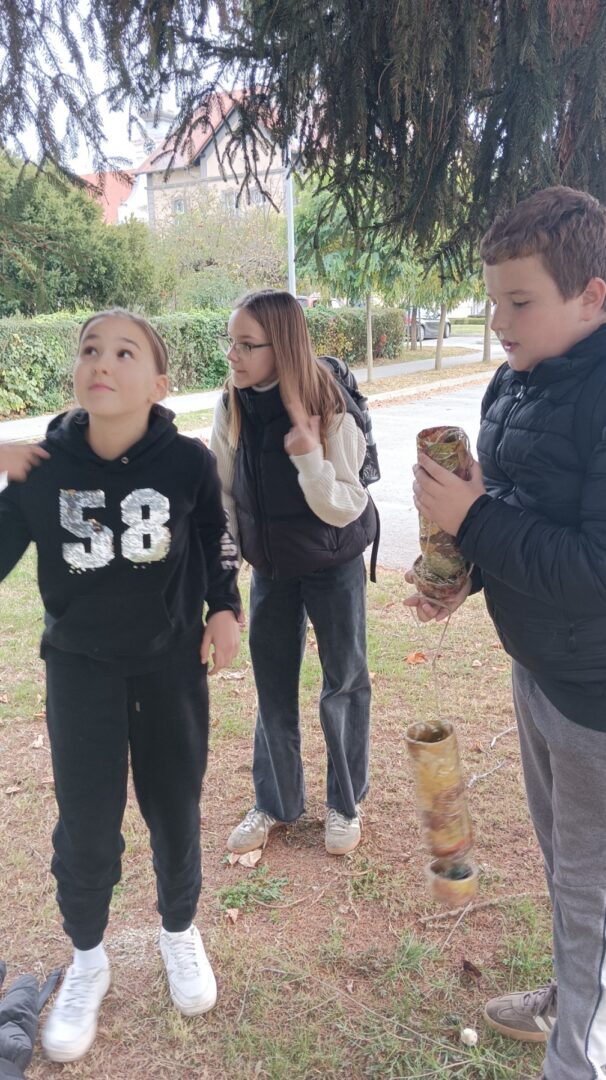 viber_slika_2025-11-10_08-48-55-714