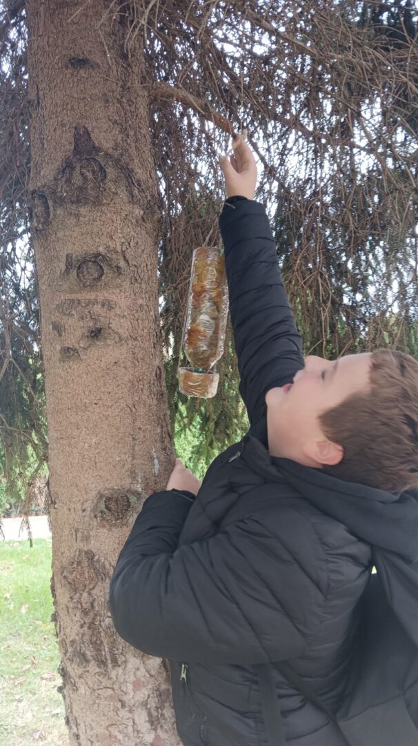 viber_slika_2025-11-10_08-48-55-768