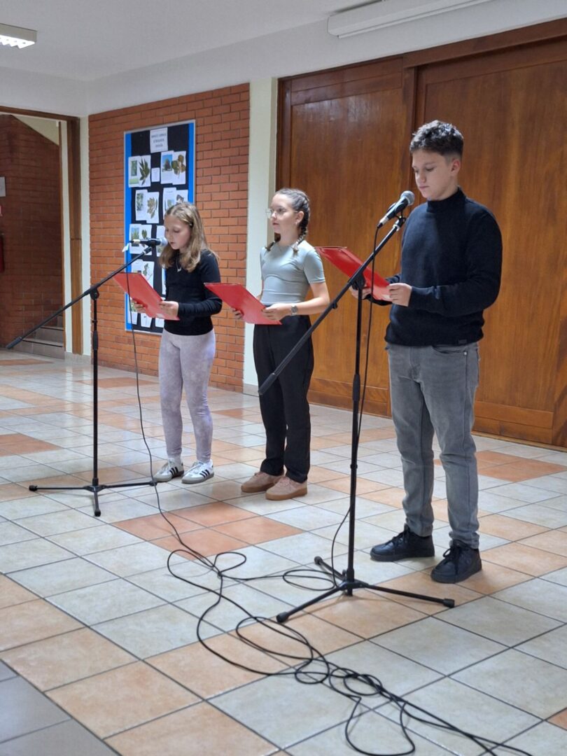 viber_slika_2025-11-19_08-04-15-058