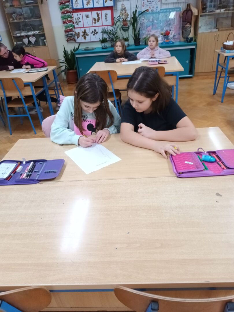 viber_slika_2025-12-04_19-15-53-995