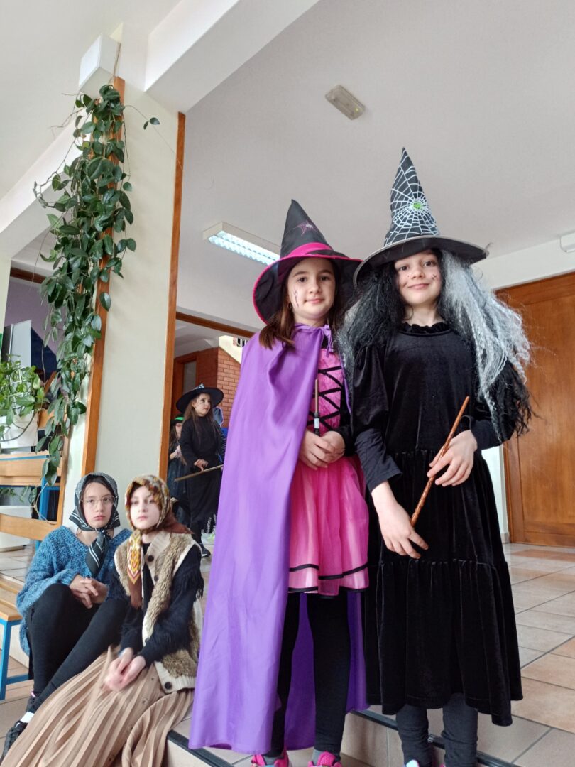 viber_slika_2026-02-17_12-39-20-725