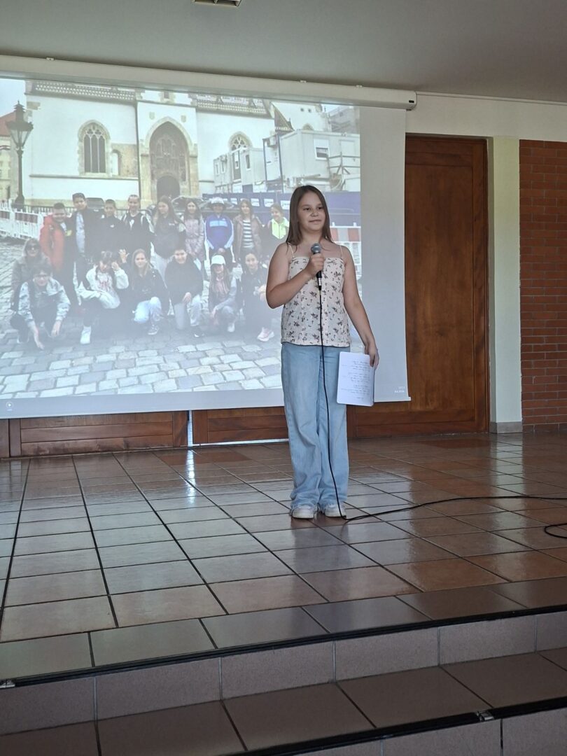 viber_slika_2026-06-11_18-08-21-769
